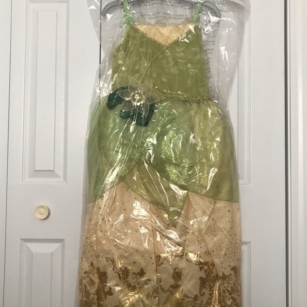 Disney’s Princess Tiana Gown